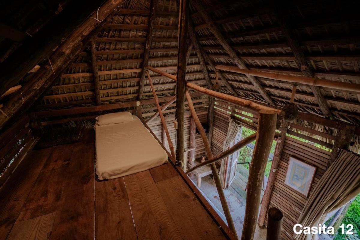 Ecolodge Tubagua Puerto Plata ภายนอก รูปภาพ